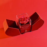 Eternal Rose & Heart Necklace Gift Box for Her